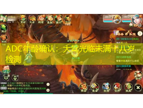 ADC年龄确认：大驾光临未满十八岁检测