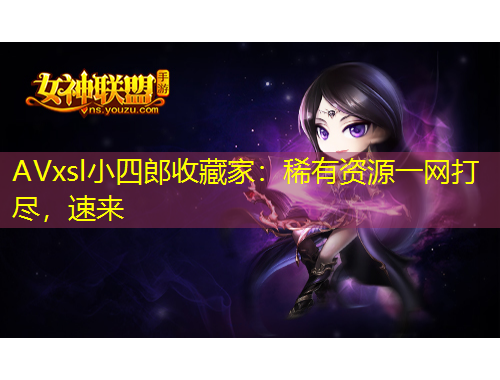 AVxsl小四郎收藏家：稀有资源一网打尽，速来
