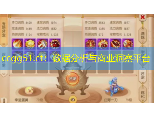 ccgg51.ct：数据分析与商业洞察平台
