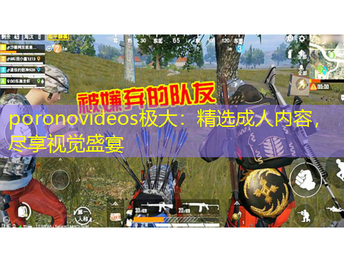 poronovideos极大：精选成人内容，尽享视觉盛宴