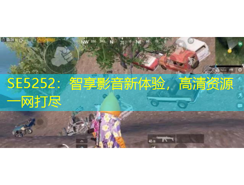 SE5252：智享影音新体验，高清资源一网打尽