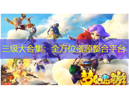 三级大合集:全方位资源整合平台