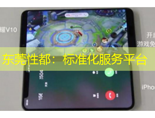 东莞性都：标准化服务平台