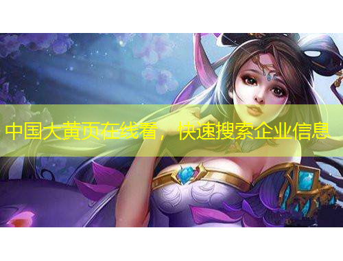 中国大黄页在线看，快速搜索企业信息