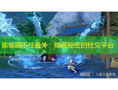 偷偷藏不住番外:隐藏秘密的社交平台