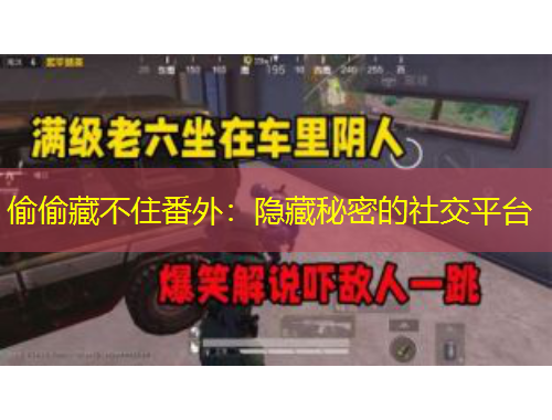 偷偷藏不住番外：隐藏秘密的社交平台