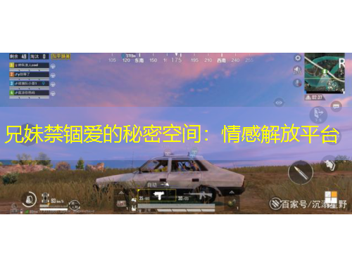 兄妹禁锢爱的秘密空间：情感解放平台