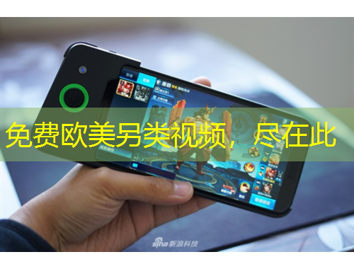 免费欧美另类视频，尽在此