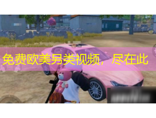 免费欧美另类视频，尽在此