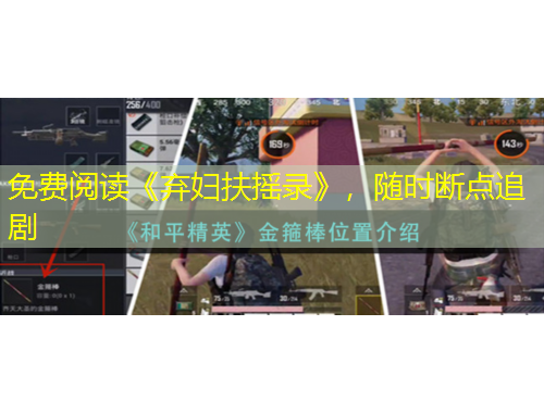 免费阅读《弃妇扶摇录》，随时断点追剧