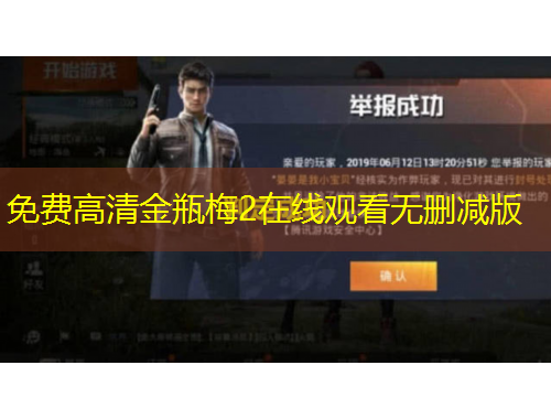 免费高清金瓶梅2在线观看无删减版