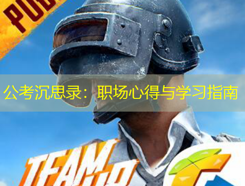 公考沉思录：职场心得与学习指南