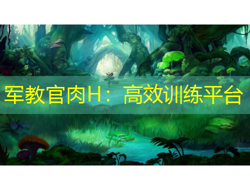 军教官肉H：高效训练平台