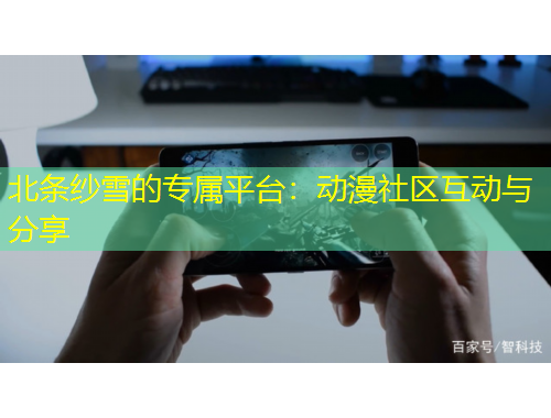北条纱雪的专属平台：动漫社区互动与分享