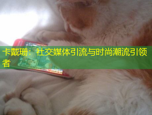 卡戴珊：社交媒体引流与时尚潮流引领者