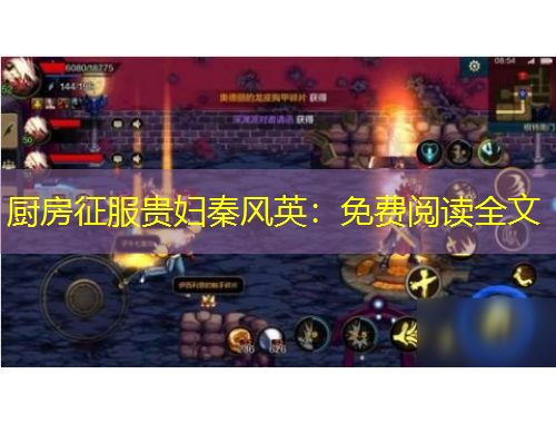 厨房征服贵妇秦风英：免费阅读全文
