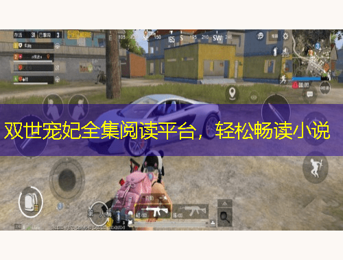 双世宠妃全集阅读平台，轻松畅读小说