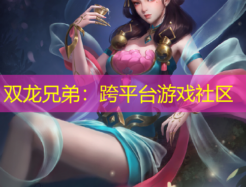 双龙兄弟：跨平台游戏社区