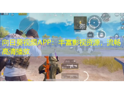 向日葵视频APP：丰富影视资源，流畅高清播放