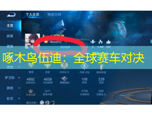 啄木鸟伍迪：全球赛车对决