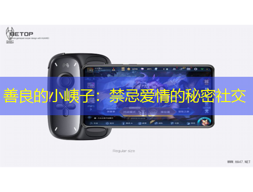 善良的小峓子:禁忌爱情的秘密社交