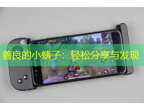 善良的小蛦子：轻松分享与发现