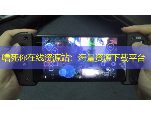 噜死你在线资源站：海量资源下载平台