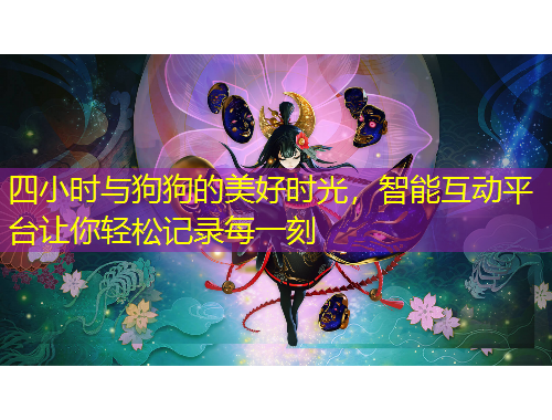 四小时与狗狗的美好时光，智能互动平台让你轻松记录每一刻