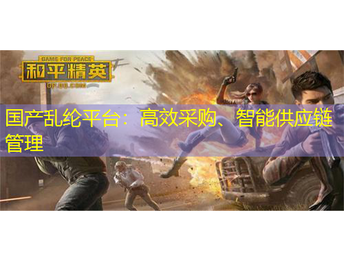 国产乱纶平台：高效采购、智能供应链管理