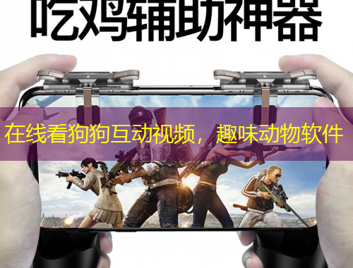 在线看狗狗互动视频，趣味动物软件