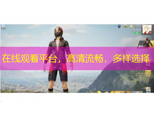 在线观看平台，高清流畅，多样选择