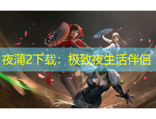 夜蒲2下载：极致夜生活伴侣