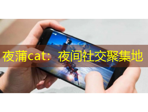 夜蒲cat:夜间社交聚集地