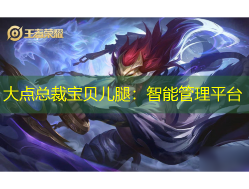 大点总裁宝贝儿腿：智能管理平台