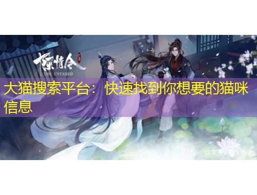 大猫搜索平台：快速找到你想要的猫咪信息