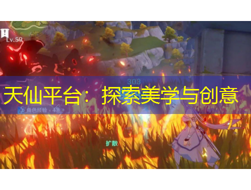 天仙平台：探索美学与创意