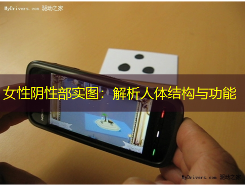 女性阴性部实图:解析人体结构与功能