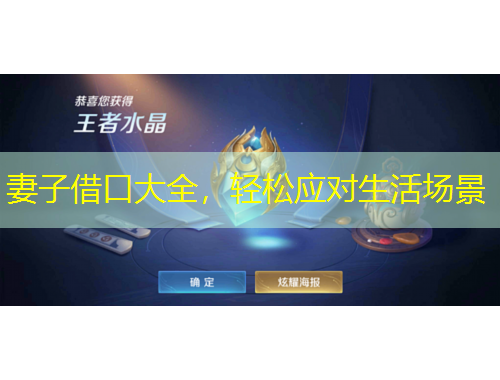 妻子借口大全，轻松应对生活场景