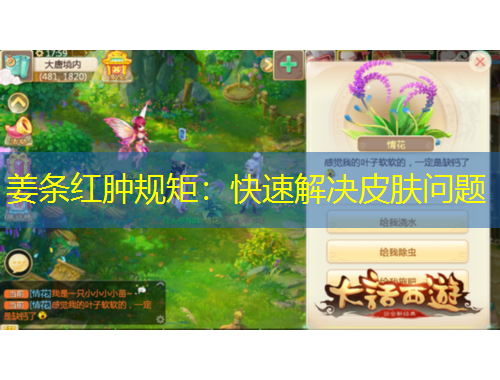 姜条红肿规矩：快速解决皮肤问题