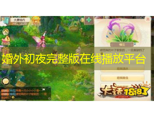 婚外初夜完整版在线播放平台