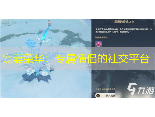 宠妻荣华：专属情侣的社交平台