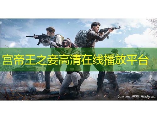 宫帝王之妾高清在线播放平台