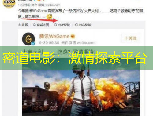密道电影：激情探索平台