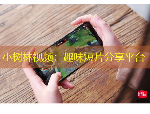 小树林视频：趣味短片分享平台