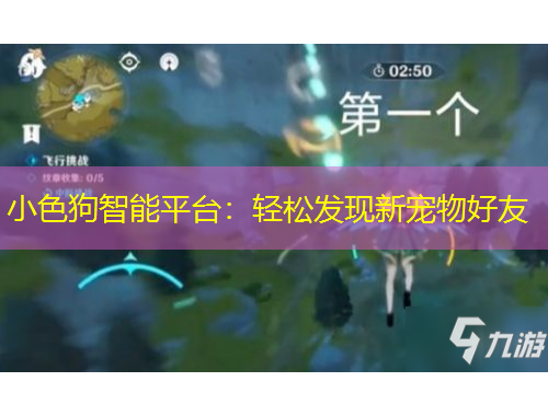 小色狗智能平台：轻松发现新宠物好友