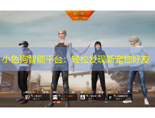 小色狗智能平台：轻松发现新宠物好友