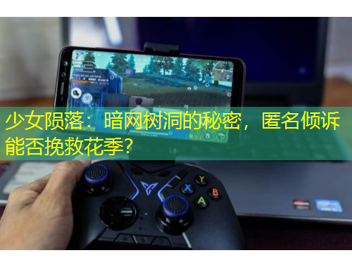 少女陨落：暗网树洞的秘密，匿名倾诉能否挽救花季？