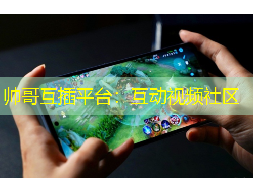 帅哥互插平台：互动视频社区