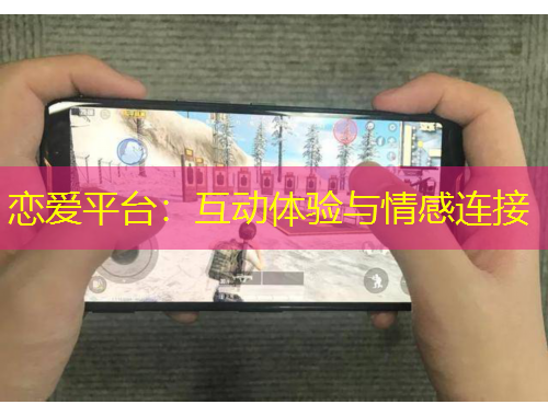 恋爱平台：互动体验与情感连接