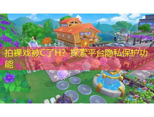 拍裸戏被C了H？探索平台隐私保护功能